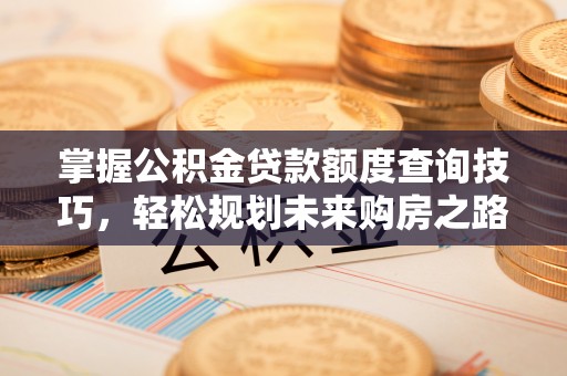 额济纳旗掌握公积金贷款额度查询技巧，轻松规划未来购房之路