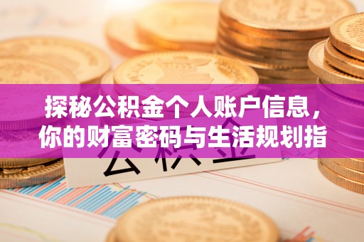 额济纳旗探秘公积金个人账户信息，你的财富密码与生活规划指南