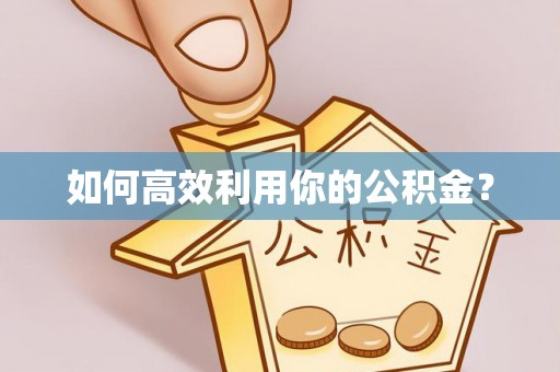 额济纳旗如何高效利用你的公积金？