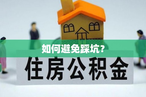 额济纳旗如何避免踩坑？