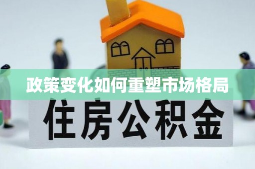 额济纳旗政策变化如何重塑市场格局