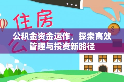 额济纳旗公积金资金运作，探索高效管理与投资新路径