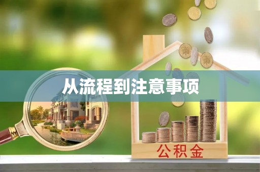 额济纳旗从流程到注意事项