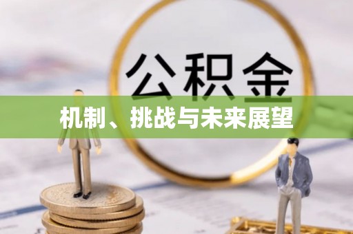 额济纳旗机制、挑战与未来展望